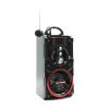 Vezeték nélküli Bluetooth hangszóró rádióval és karaoke funkcióval, 90 W