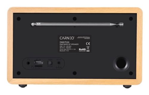 Carneo P530, Személyi, DAB+, FM, DAB, 87,5 - 108 MHz, 174 - 240 MHz, 3 W, 150 - 18000 Hz