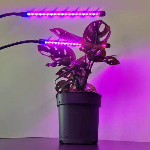 Lámpa 20 LED 2 db. a Gardlov-növények növekedéséhez 19241