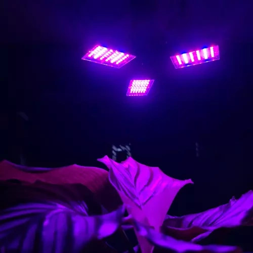 108 LED lámpa a növények növekedéséhez Gardlov 20440