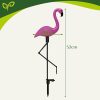 3 db-os flamingó napelemes lámpa, IP44, 52 x 20 cm/flamingó
