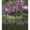 3 db-os flamingó napelemes lámpa, IP44, 52 x 20 cm/flamingó