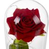 Rózsa üvegben - LED világításlsa, Malatec 21619