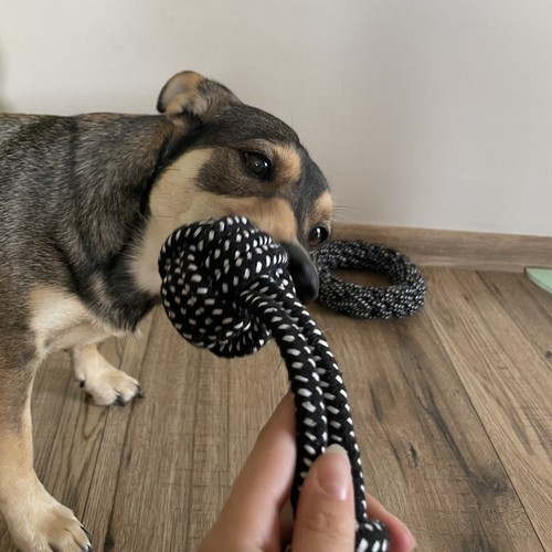 Nagy kutyajáték készlet – 10 részes strapabíró szett