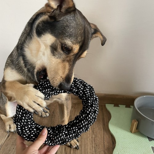 Nagy kutyajáték készlet – 10 részes strapabíró szett