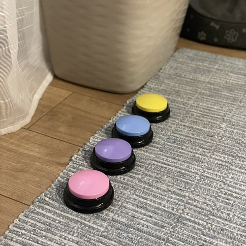 Kutyakommunikációs tréninggombok – Beszélgetés kedvenceddel otthon!