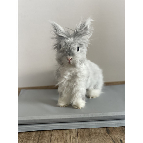 Purlov XL Hűsítő Állatfekhely 90x50cm - Zselés, Összehajtható, Szürke