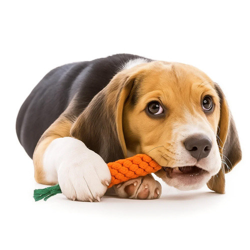 PURLOV Zsinóros Játék Készlet Kutyáknak, 16 az 1-ben Szett, Természetes fogápolás, Biztonságos anyagok, Tartós kivitel