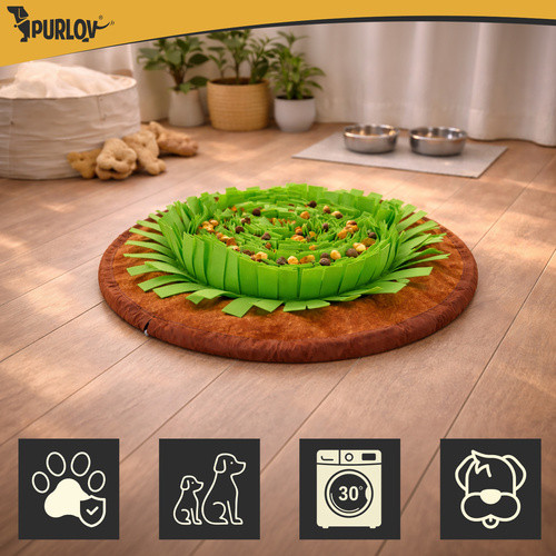 Kutya szimatoló szőnyeg: agytorna & emésztéskímélő