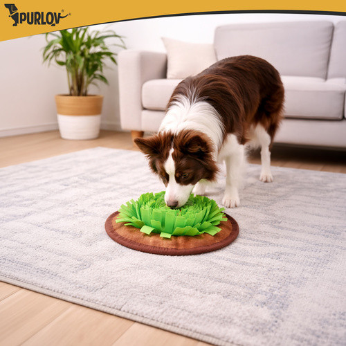 Kutya szimatoló szőnyeg: agytorna & emésztéskímélő