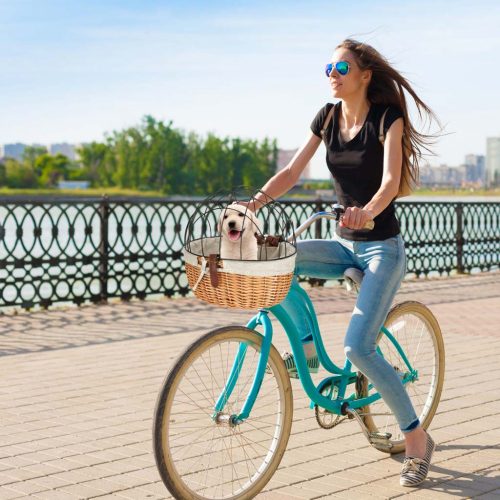 Rattan kerékpárkosár fém kerettel