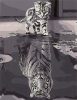 Festmény számok szerint 40x50cm macska és tigris