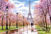 CASTORLAND Puzzle 1000 elem Romantikus séta Párizsban 68x47cm