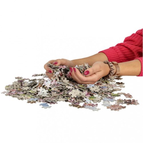 CASTORLAND Puzzle 1000 elem Romantikus séta Párizsban 68x47cm