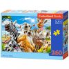 CASTORLAND Puzzle 260el. Afrikai Selfiey - Afrikai állatok