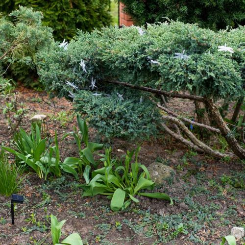 Napelemes szitakötő kerti fényfüzér, 6.5m, 30LED, meleg fehér