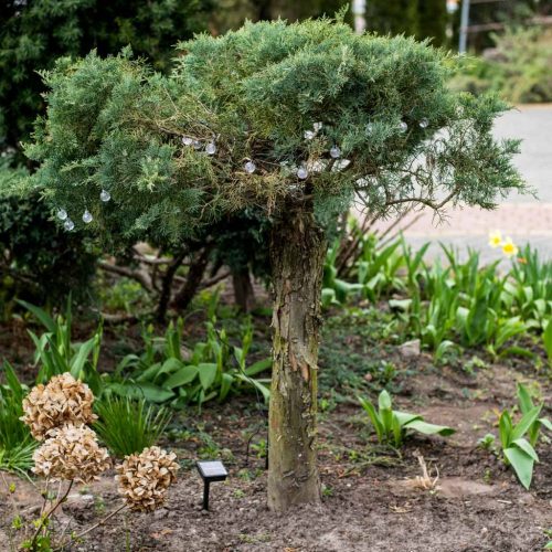  50 led-es napelemes kerti fényfüzér, golyók, 7m, hideg fehér