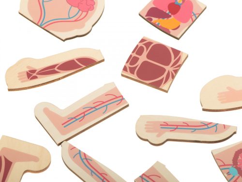 Fa réteges puzzle testépítő montessori lány