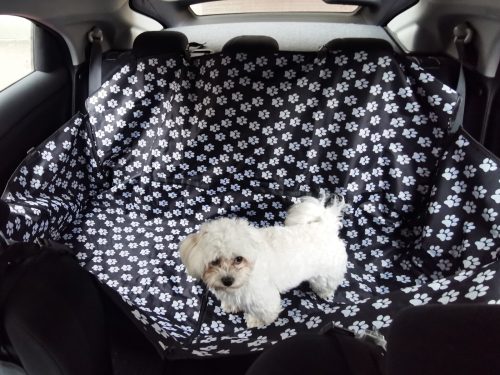 Autószőnyeg háziállatoknak vízálló mancs alátét