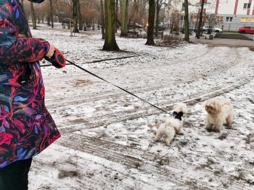 Automata pántos póráz 5m kutyáknak 14kg-ig piros színben